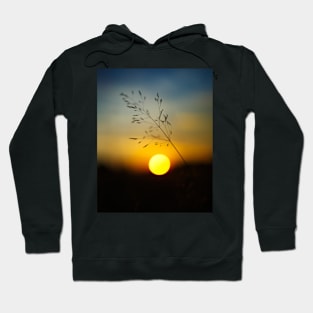 Selective focus sunset Hoodie